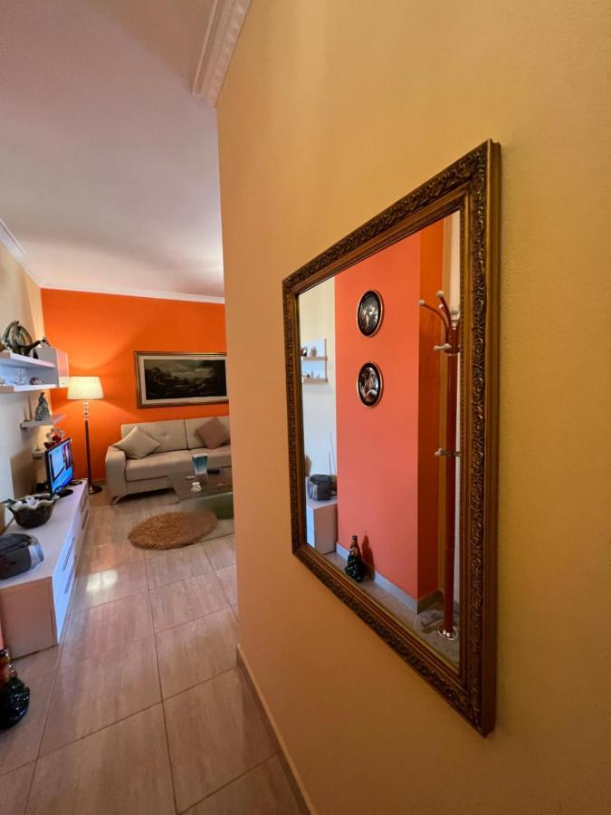City Center Apartment In Szkodra Zewnętrze zdjęcie